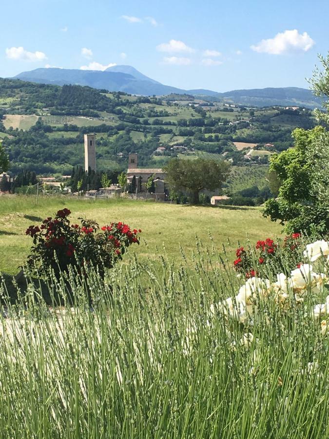 Al Castello Villa San Severino Marche Kültér fotó